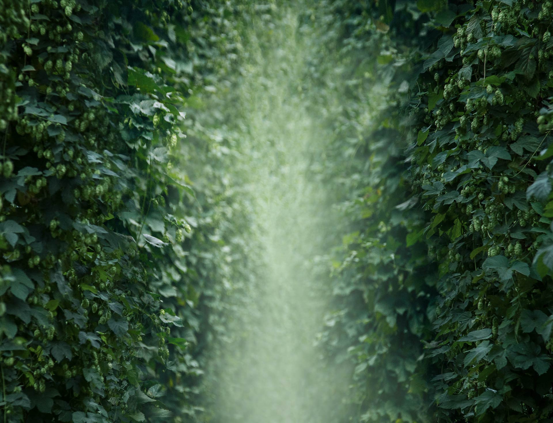 parallax background